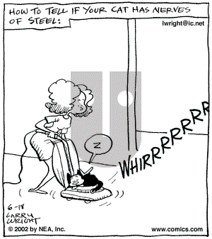 Kit 'N' Carlyle on Tuesday June 18, 2002 Comic Strip