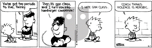 Calvin and Hobbes - Wednesday August 7, 1991 Comic Strip