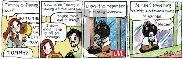 Breaking Cat News on Tuesday September 15, 2020 Comic Strip