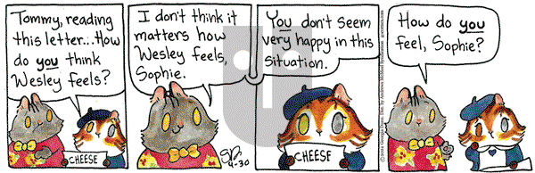 Breaking Cat News - Tuesday April 30, 2024 Comic Strip