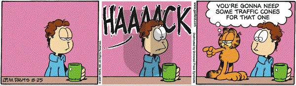 Garfield on Saturday August 25, 2007 Comic Strip