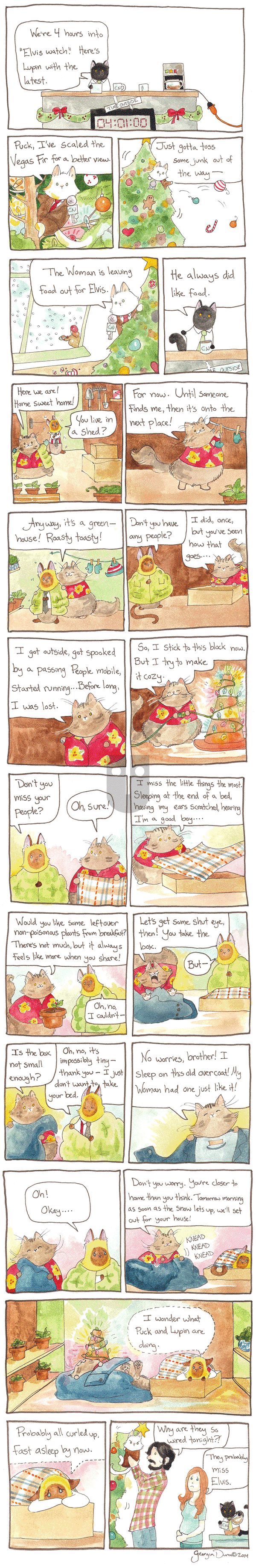 Breaking Cat News on Thursday July 16, 2015 Comic Strip