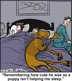 Marmaduke on Thursday March 13, 2025 Comic Strip