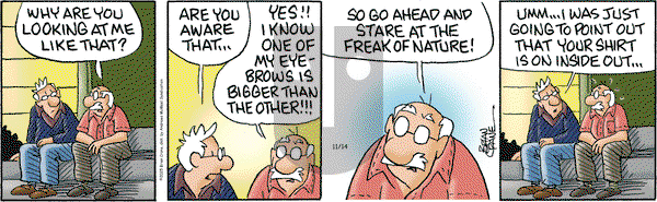 Pickles on Friday November 14, 2025 Comic Strip