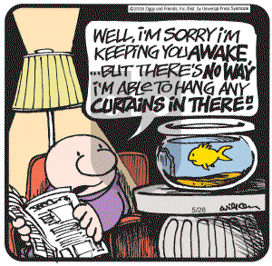 Ziggy on Monday May 26, 2008 Comic Strip