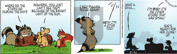 Over the Hedge on Saturday May 31, 2025 Comic Strip
