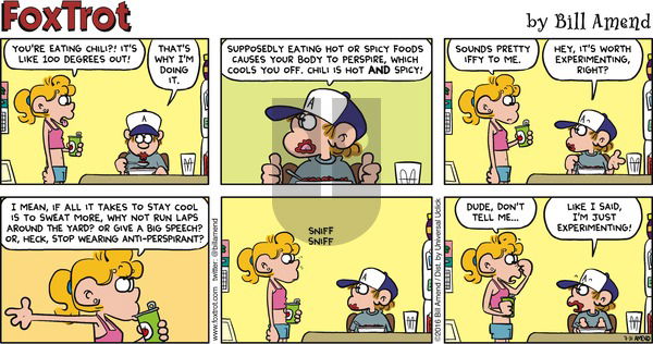 FoxTrot on Sunday July 31, 2016 Comic Strip