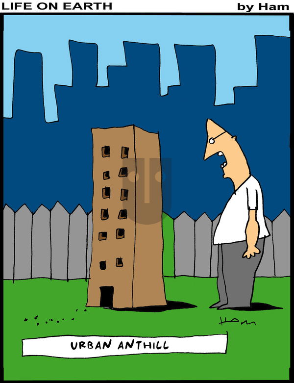 Life on Earth - Sunday December 1, 2024 Comic Strip