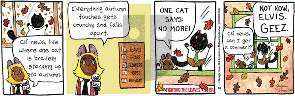 Breaking Cat News on Friday September 28, 2018 Comic Strip