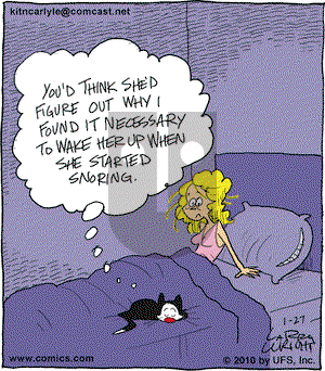 Kit 'N' Carlyle on Wednesday January 27, 2010 Comic Strip