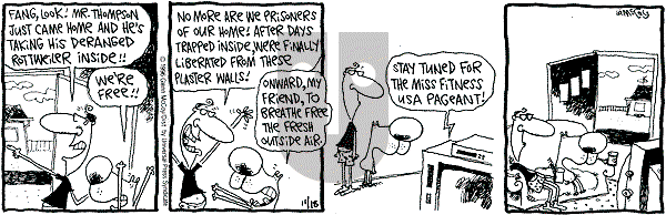 The Duplex on Monday November 18, 1996 Comic Strip