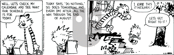 Calvin and Hobbes - Saturday June 20, 1992 Comic Strip