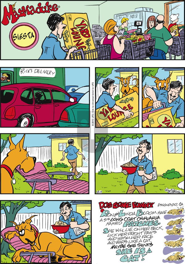 Marmaduke on Sunday October 11, 2015 Comic Strip