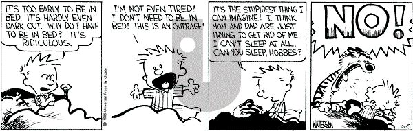 Calvin and Hobbes - Thursday June 5, 1986 Comic Strip