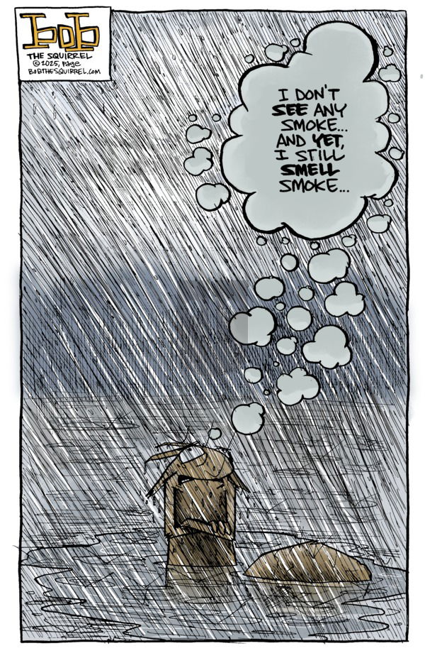 Bob the Squirrel on Sunday April 27, 2025 Comic Strip