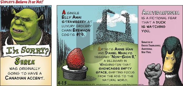 Ripley's Believe It or Not on Sunday April 13, 2025 Comic Strip