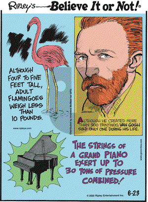 Ripley's Believe It or Not on Tuesday June 23, 2020 Comic Strip