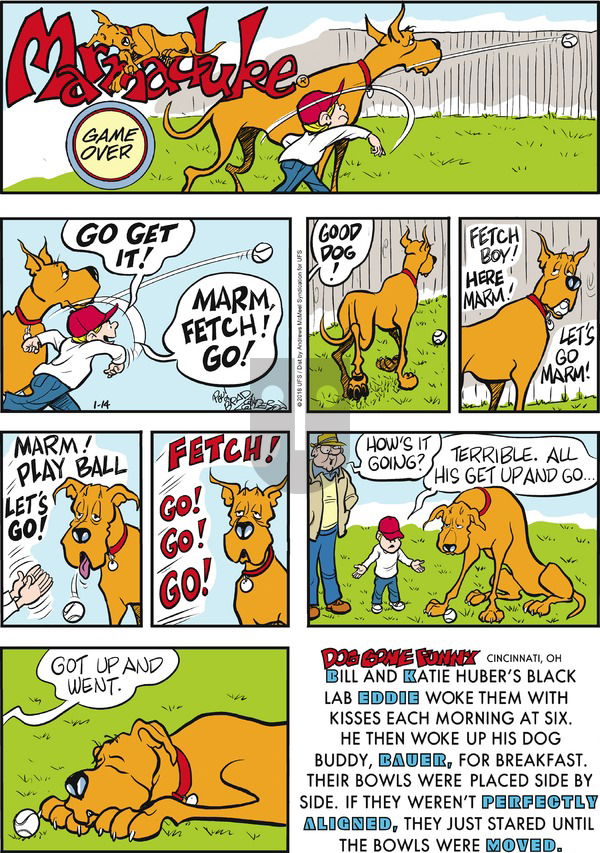 Marmaduke on Sunday January 14, 2018 Comic Strip