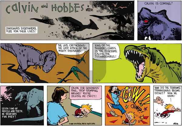 Calvin and Hobbes on Sunday August 14, 1988 Comic Strip