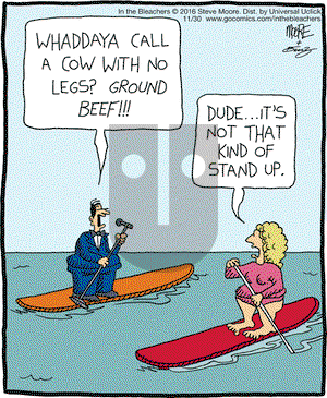In the Bleachers on Wednesday November 30, 2016 Comic Strip