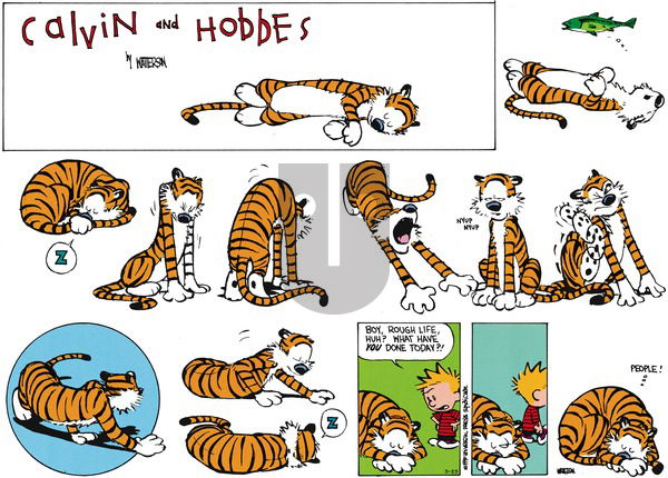 Calvin and Hobbes - Sunday May 25, 2014 Comic Strip