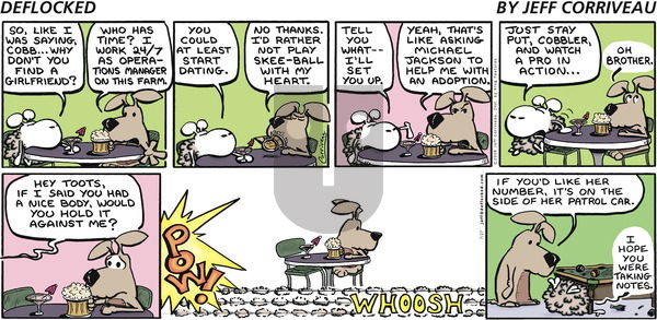 DeFlocked on Sunday July 27, 2008 Comic Strip