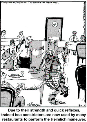 Close to Home on Monday August 17, 2009 Comic Strip