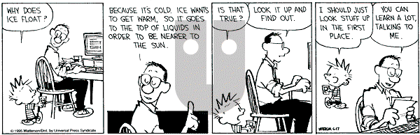 Calvin and Hobbes - Saturday June 17, 1995 Comic Strip