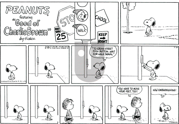 Peanuts - Sunday July 20, 1969 Comic Strip
