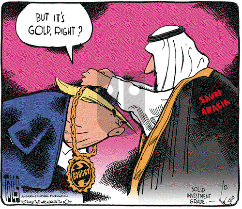 Tom Toles on Friday November 23, 2018 Comic Strip