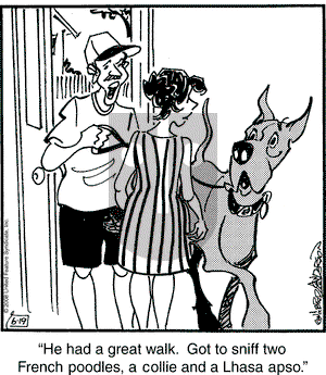 Marmaduke on Thursday June 19, 2008 Comic Strip