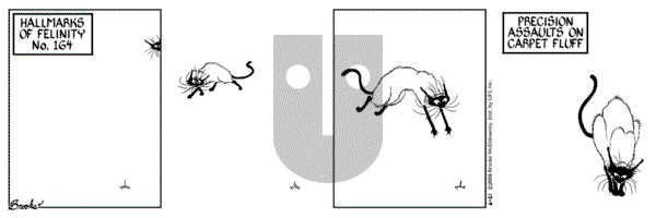 9 Chickweed Lane on Saturday June 21, 2003 Comic Strip