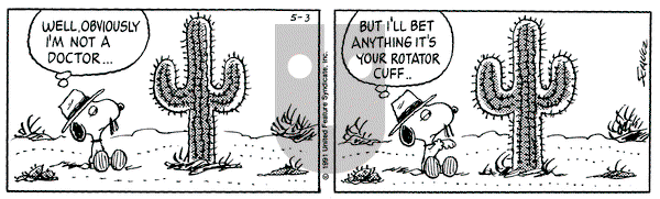 Peanuts on Friday May 3, 1991 Comic Strip