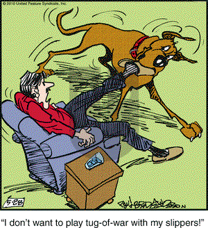 Marmaduke on Friday May 28, 2010 Comic Strip
