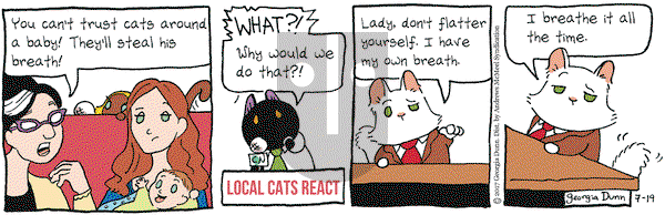 Breaking Cat News on Wednesday July 19, 2017 Comic Strip
