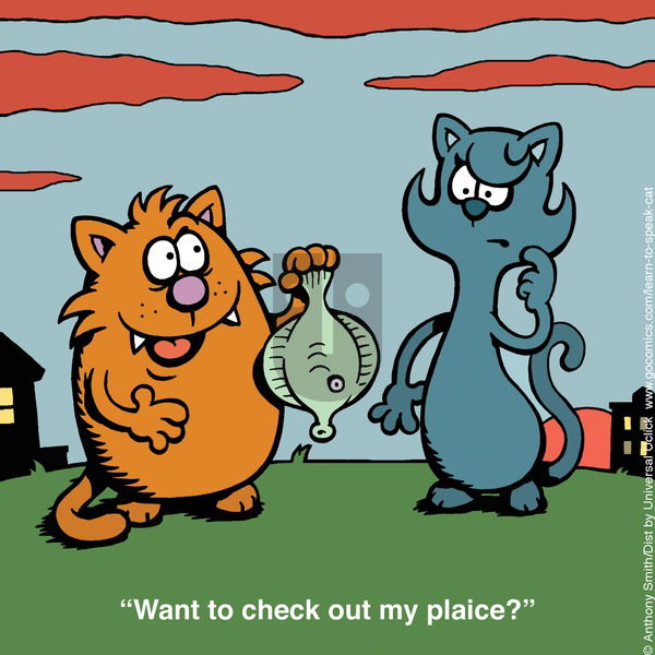 Learn to Speak Cat on Sunday January 19, 2025 Comic Strip