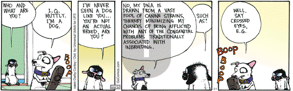 Get Fuzzy on Wednesday February 1, 2012 Comic Strip