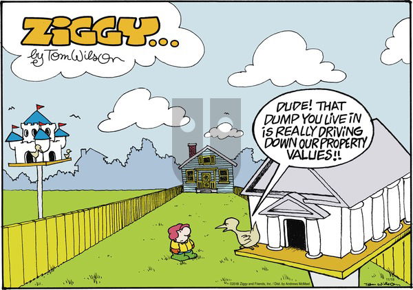 Ziggy on Sunday November 18, 2018 Comic Strip