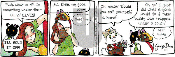 Breaking Cat News - Saturday May 27, 2023 Comic Strip