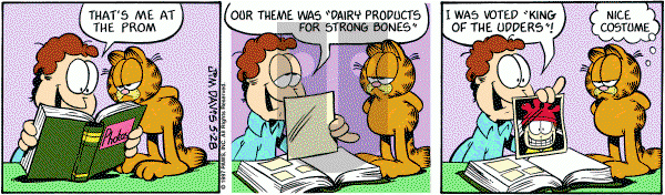 Garfield on Wednesday May 28, 1997 Comic Strip