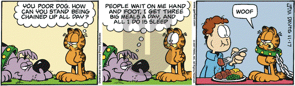 Garfield on Friday December 21, 2007 Comic Strip