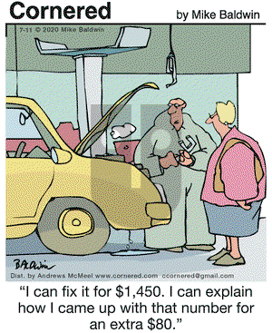 Cornered on Saturday July 11, 2020 Comic Strip