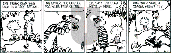 Calvin and Hobbes on Monday June 16, 1986 Comic Strip