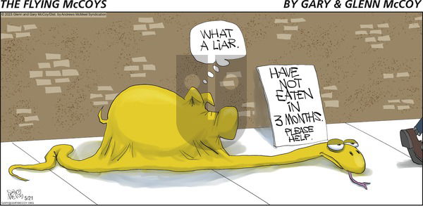 The Flying McCoys - Sunday May 21, 2023 Comic Strip