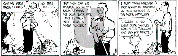 Calvin and Hobbes - Friday November 22, 2024 Comic Strip