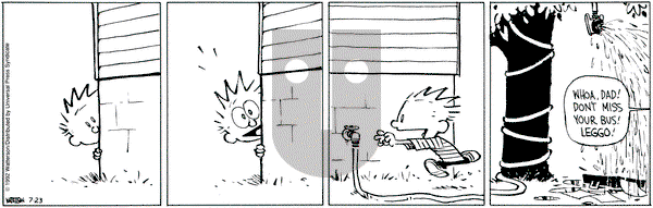 Calvin and Hobbes on Thursday July 23, 1992 Comic Strip