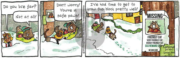 Breaking Cat News on Wednesday December 6, 2017 Comic Strip