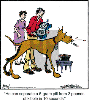 Marmaduke on Wednesday September 23, 2009 Comic Strip