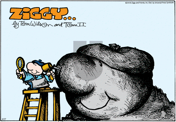Ziggy - Sunday April 27, 2008 Comic Strip