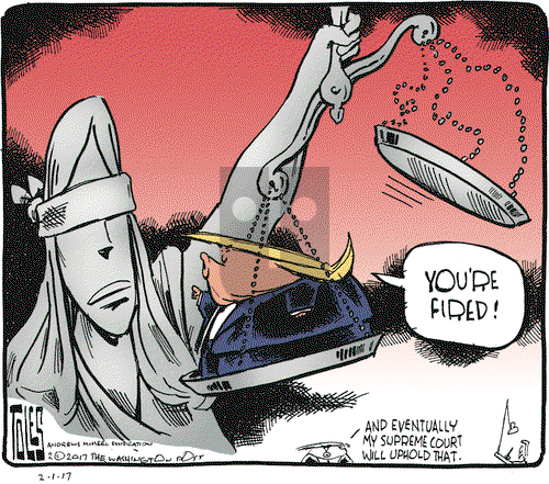 Tom Toles on Wednesday February 1, 2017 Comic Strip